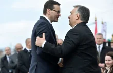 Putin zgasił miłość PiS do Orbána? Oto jak realne jest zamrożenie relacji