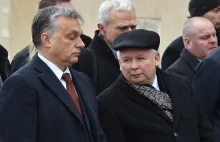 Jarosław Kaczyński o stosunku Orbana do Rosji. "Wiemy, że trudno to przeciąć"