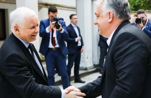 Kaczyński: Relacje z Węgrami nie zostaną przekreślone