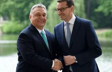 Tak PiS bratał się z Orbánem. Teraz niech połyka tę żabę.