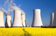 Wielka Brytania wybuduje 6-7 nowych elektrowni atomowych do 2050 roku