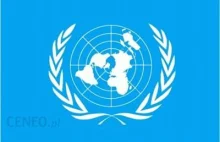Wołodymyr Zełenski w ONZ: gdzie jest gwarancja pokoju i bezpieczeństwa?