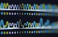 Po raz pierwszy całkowicie rozszyfrowano ludzki genom