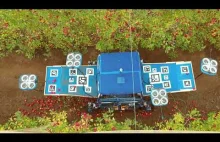 Latające roboty do zbioru jabłek od Kuboty