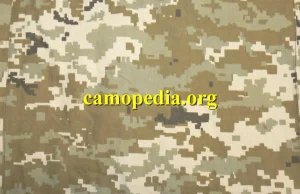 Cyfrowy kamuflaż ukraińskiej armii