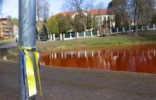 „Krwawy” staw przy ambasadzie Rosji w Wilnie. To reakcja na...
