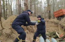 Ukraiński rząd: Rosja nie zdoła sprzedać drewna z lasów ściętych na Ukrainie