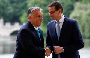 Morawiecki jako pierwszy pogratulował Orbánowi zwycięstwa