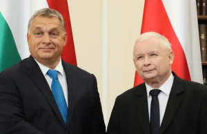 Kaczyński: "Jeżeli Orbán nie widzi masakry w Buczy, trzeba poradzić mu okulistę"