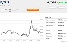 „Jastrząb” Glapiński nie zatrzymał wzrostu kursu euro