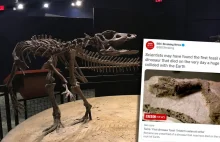 Naukowcy sądzą, że znaleźli skamieniałość dinozaura zabitego przez...