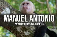 Park Narodowy Manuel Antonio - atrakcje, plaże, leniwce i dzikie zwierzęta...