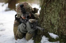 Litwa chce brygady NATO zamiast batalionu