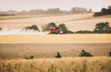 Wojna może zniszczyć nawet połowę ukraińskich plonów zbóż