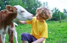 Dzieci uważają, że ludzie i zwierzęta hodowlane zasługują na równe traktowanie