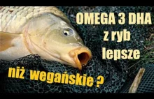 Omega-3 DHA z ryb lepsze niż wegańskie? Sprawdźmy!