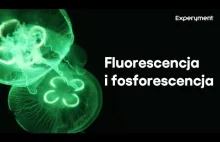 Fluorescencja i fosforescencja | ZDALNY EXPERYMENT #1