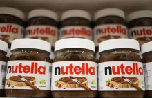 Nutella rezygnuje z oleju palmowego. Powód? Łamanie praw człowieka