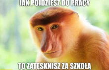 Przepracowane biedaki