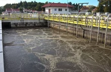 Osady ściekowe - patent na pranie gleby autorstwa naukowców UWM w Olsztynie