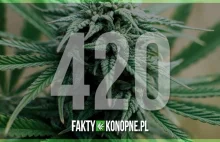 420: Jak 20 kwietnia stał się świętem palaczy marihuany