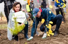 Kolejne lasy Miyawaki powstaną w Poznaniu między betonowymi osiedlami