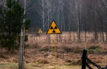Bakterie miały zjeść radioaktywne odpady w Czarnobylu. Rosyjska inwazja...