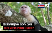 LENIWCE ❤️! W KOŃCU NAM SIĘ UDAŁO! Park Narodowy Manuel Antonio, Kostaryka