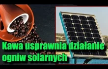 Kofeina zwiększa wydajność paneli słonecznych!