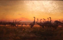 Ptaki w malarstwie Józefa Chełmońskiego