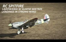 RC Spitfire - lądowania w silnym wietrze / landings in strong wind