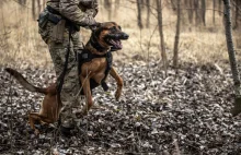 Kontrterroryści i psy bojowe na "polowaniu"