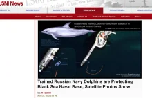 Rosyjskie delfiny-żołnierze strzegą bazy marynarki wojennej w Sewastopolu