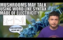 Mushrooms Use Electric Spike Syntax Resembling Words To Talk, New Study