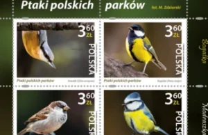 "Ptaki polskich parków" - nowa seria znaczków pocztowych