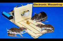 Elektryczna pułapka na myszy