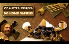 Ewolucja CZŁOWIEKA - od australopiteka do Homo sapiens!