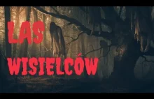 LAS WISIELCÓW - CreepyPasta [ Lektor PL ]