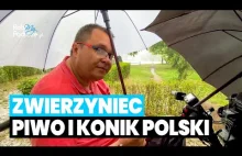 ZWIERZYNIEC - piwo i poszukiwanie Konika Polskiego