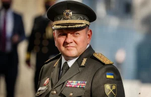 Generał Walery Załużny: Siły Zbrojne Ukrainy podjęły kontrofensywę...