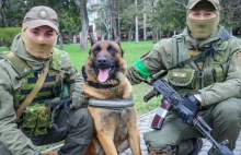 Rosyjscy "żołnierze" porzucili wyszkolonego psa. Teraz Maks walczy za Ukrainę.