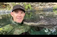 Czy można wytresować aligatora?