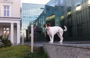 Sędziowie chcą mnie wsadzić do więzienia za swoje czyny - - Serwis...