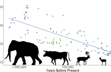 1,5 miliona lat polowania na coraz mniejszą zwierzynę w Lewancie [EN]