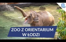 Orientarium i zoo w Łodzi