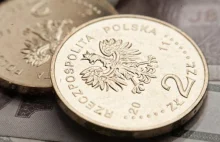 Leon Podkaminer: W Polsce podatki są za niskie