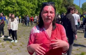 Za atakiem na ambasadora stała ukraińska dziennikarka Iryna Zemlyana.