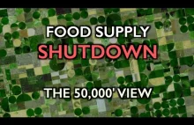 Łańcuch dostaw żywności jest wygaszany: pola nie są obsiewane [EN]