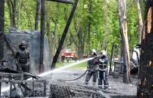 Płonie niemal 800 hektarów. Ukraińcy mają problem z gaszeniem pożarów lasów