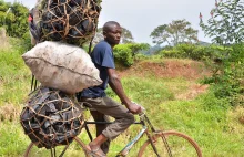 W Ugandzie zatwierdzono plany budowy pierwszej w kraju elektrowni atomowej.